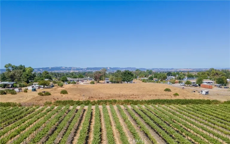 Looking West toward Paso hills.  Parcel begins at the vineyard edge