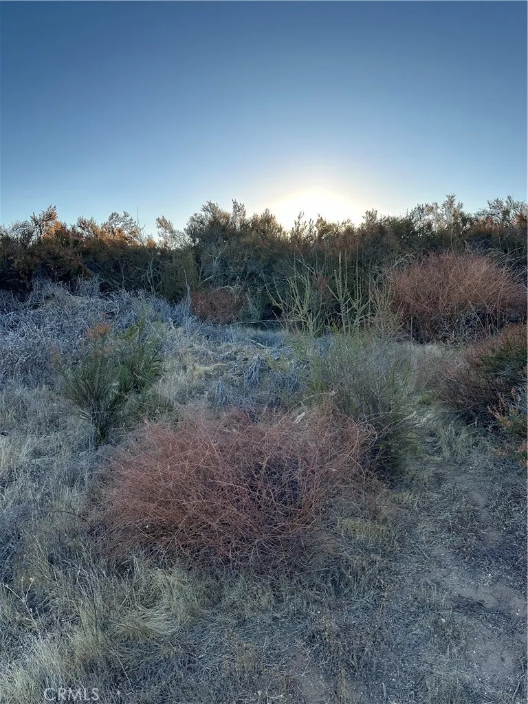 View of​​‌​​​​‌​​‌‌​​‌​​​‌‌​​​‌​​‌‌​​‌‌​​‌‌​​​​ parcel.