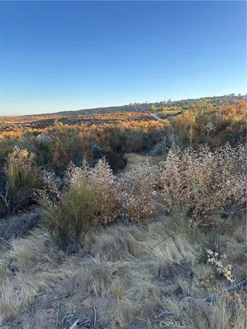 View of parcel.