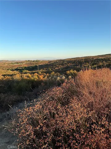 View from parcel.