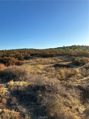 View of parcel.