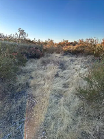 View of parcel.
