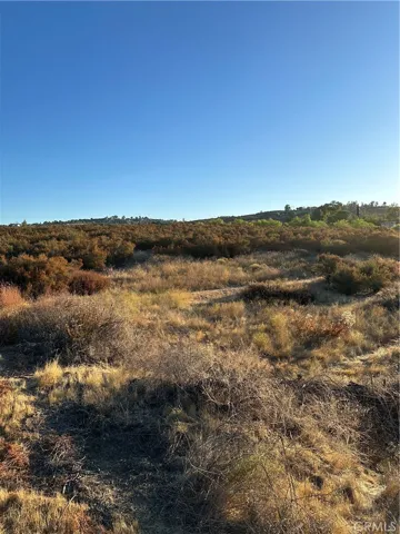 View of parcel.