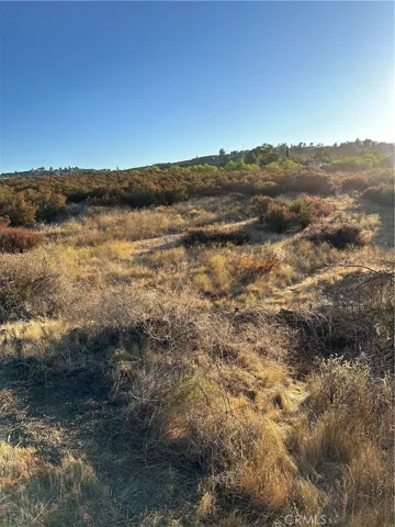 View of parcel.