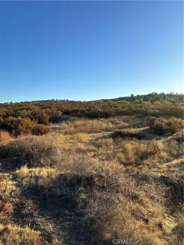 View of parcel.