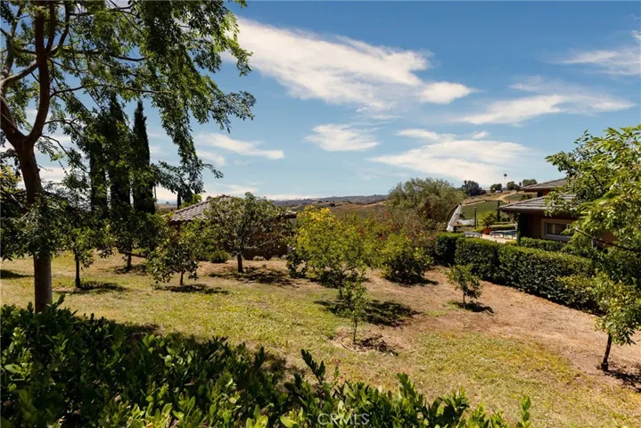 Family Orchard Fruit Trees