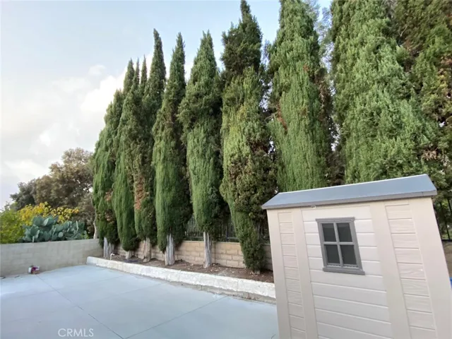 Back yard with mature trees and storage shed.