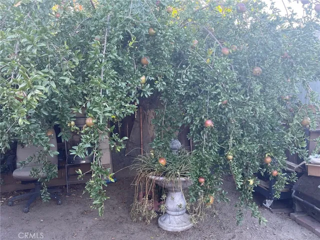 41061 Vinton Place, Hemet, California 92544