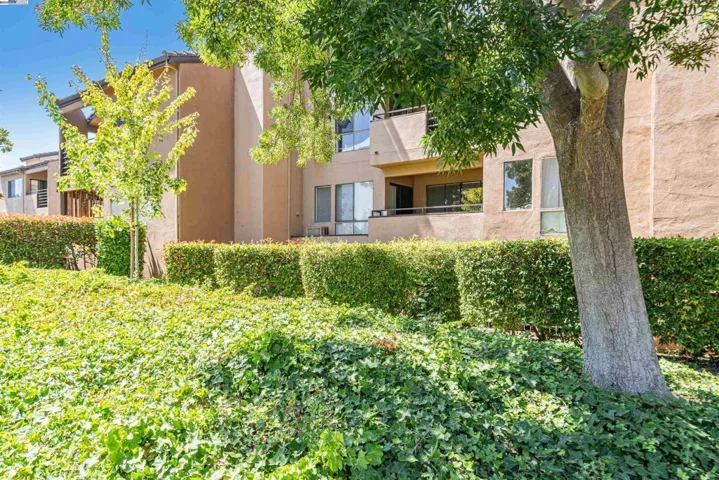 39199 Guardino Dr 171, Fremont, California 94538