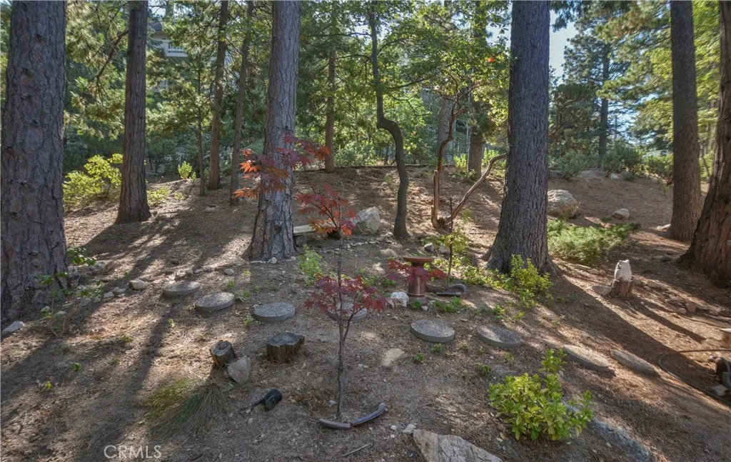 196 N Fairway Drive, Lake Arrowhead, California 92352 home-pic-35