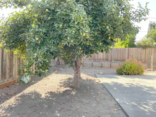 1137 Derbyshire Drive, Cupertino, California 95014