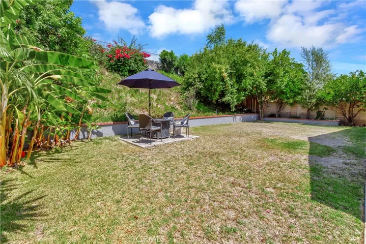 Large Yard with Mature Fruit Trees and Fully Enclosed with Newer Fencing