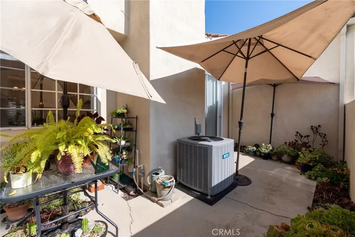 Back Patio