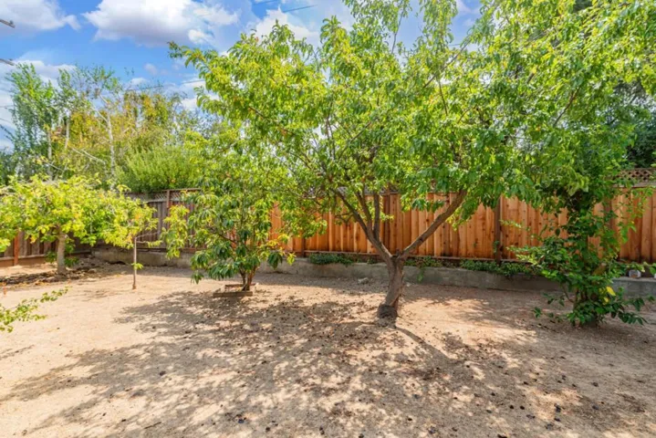 10420 N Blaney Avenue, Cupertino, California 95014