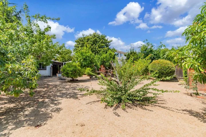 10420 N Blaney Avenue, Cupertino, California 95014