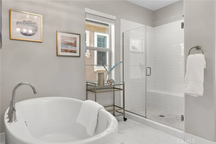 Master bathroom soaking tub and walk-in shower.
