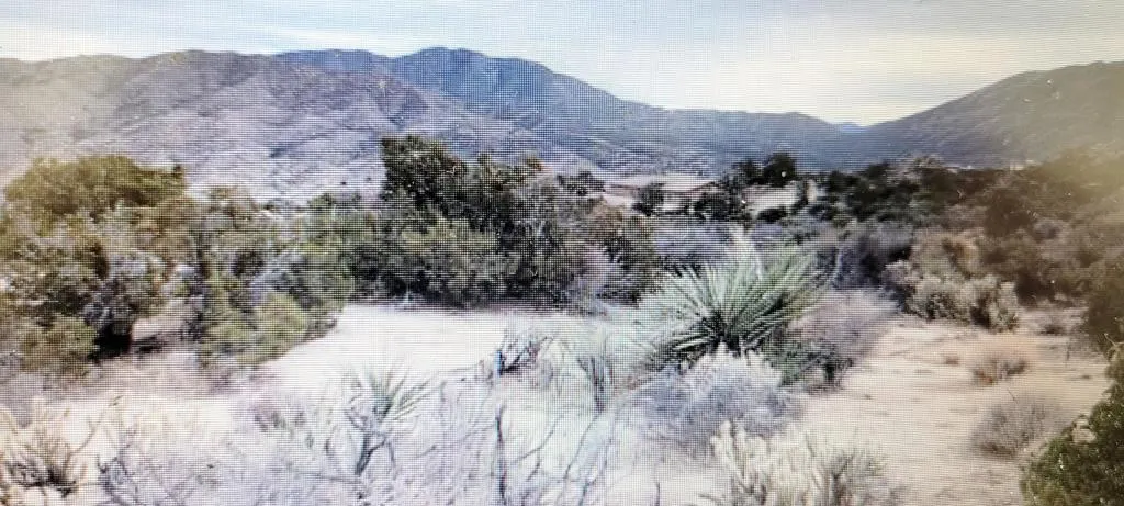 gallery-image 4