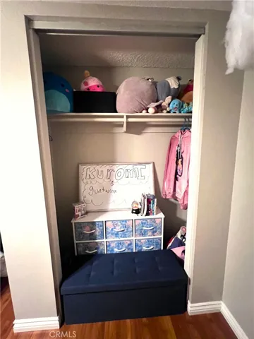 Bottom Bedroom Closet