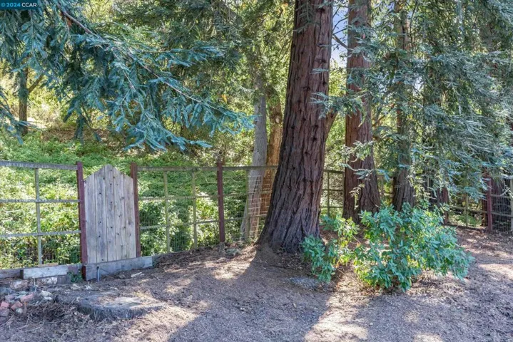 1108 Sanders Dr, Moraga, California 94556