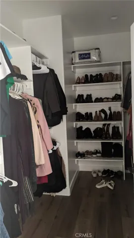 Primary bedroom closet