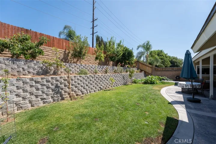 LARGE BACKYARD