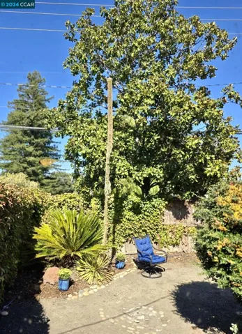5242 Olive Dr, Concord, California 94521