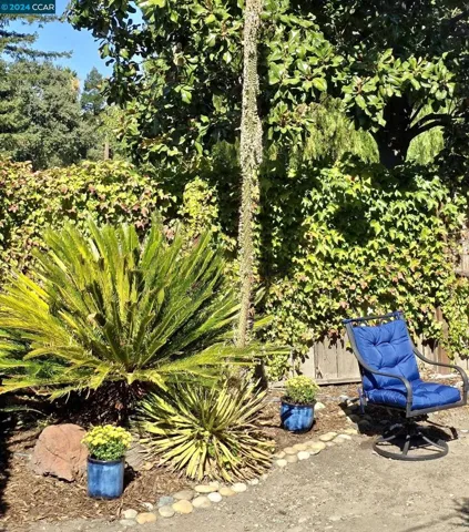 5242 Olive Dr, Concord, California 94521