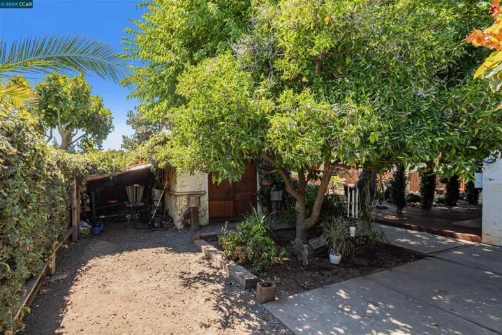 5242 Olive Dr, Concord, California 94521