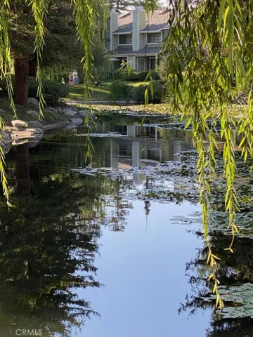 Beautiful Weeping Willow Trees makes this a beautiful surronding