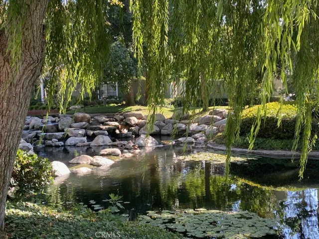 Beautiful Foliage and the Weeping Willow Tree.