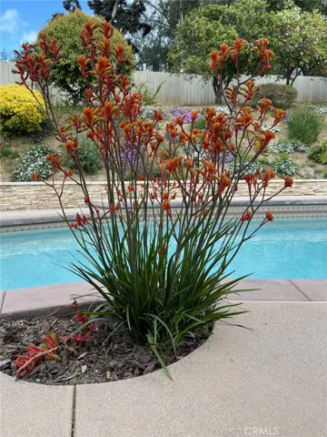 1645 Ranchwood Lane, Fallbrook, California 92028