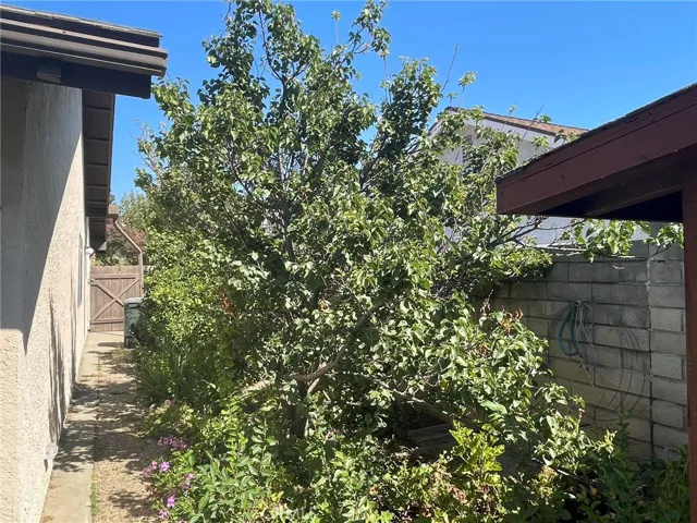 290 S Earlham Street, Orange, California 92869