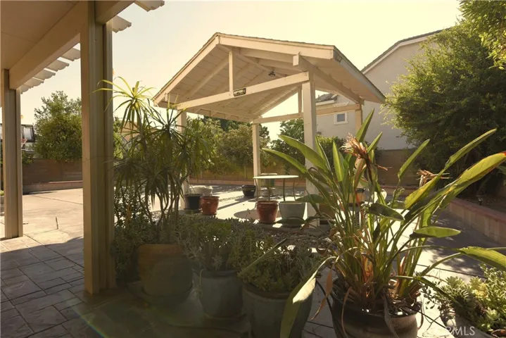 backyard3