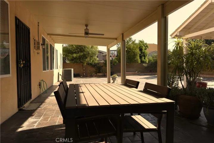 backyard2