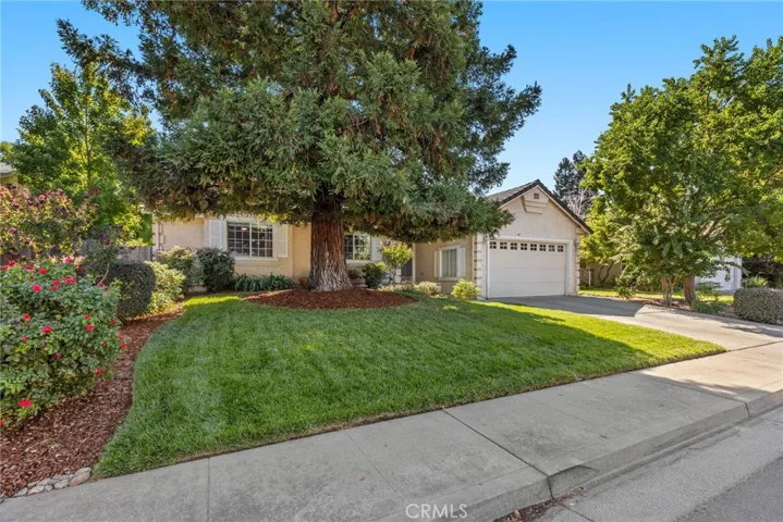 297 Idyllwild Circle, Chico, California 95928