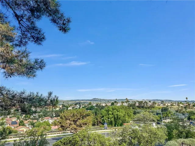 Backyard views!