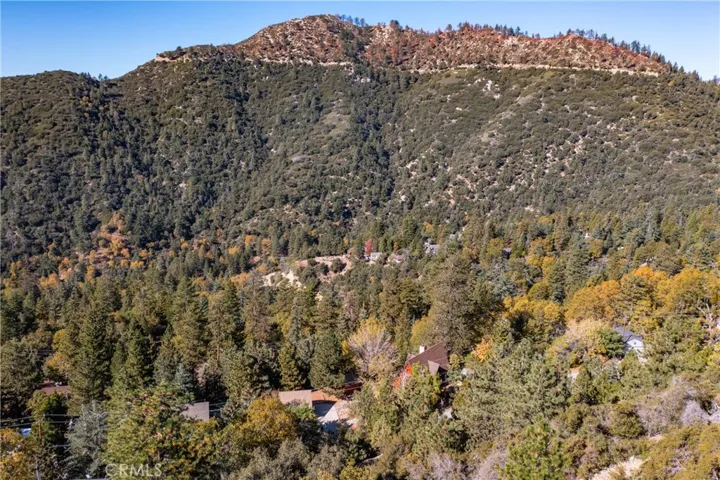 6392 Spruce Avenue, Angelus Oaks, California 92305