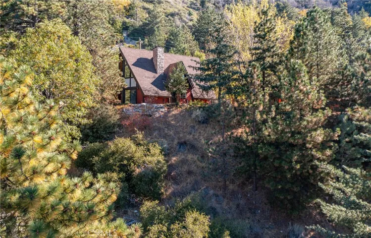 6392 Spruce Avenue, Angelus Oaks, California 92305