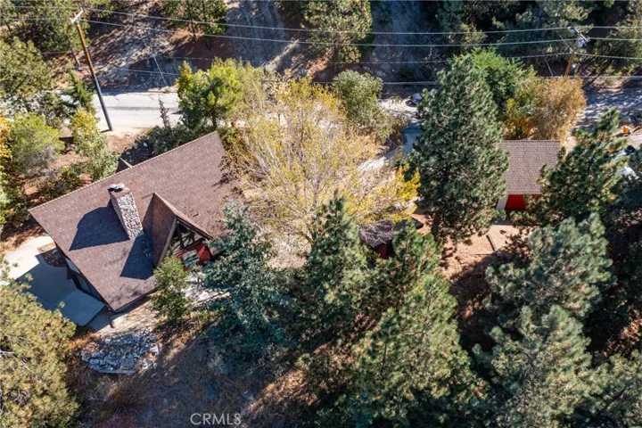 6392 Spruce Avenue, Angelus Oaks, California 92305