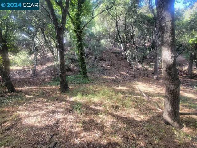 2900 Lomitas, Santa Rosa, California 95404