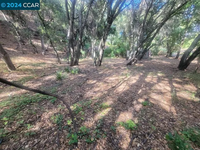 2900 Lomitas, Santa Rosa, California 95404