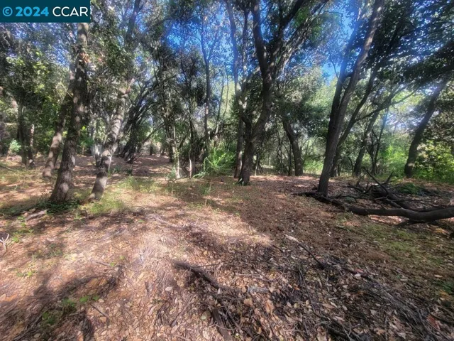 2900 Lomitas, Santa Rosa, California 95404