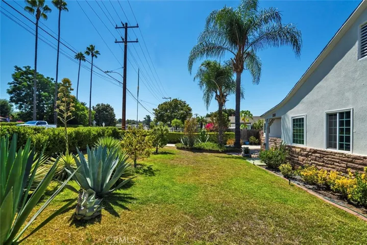 Front yard - view 3