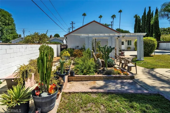 A part of back yard - view 10