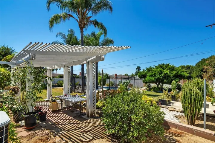A part of back yard - view 5