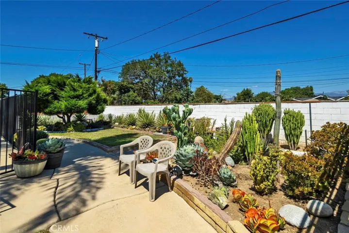 A part of back yard - view 4