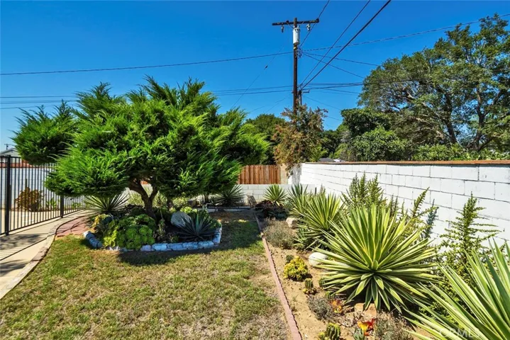 A part of back yard - view 6