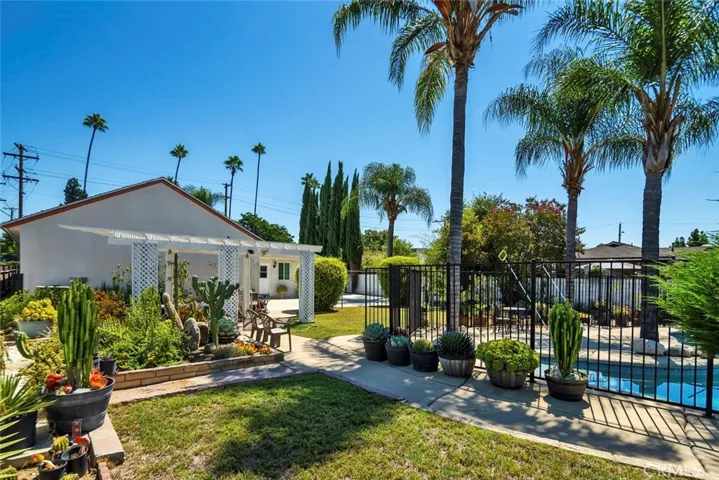 A part of back yard - view 9