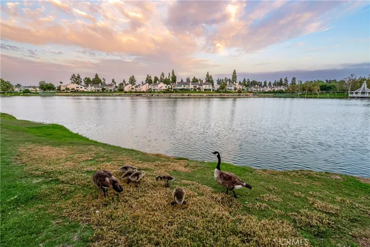 25 Havenwood 75, Irvine, California 92614