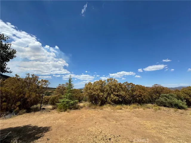 59175 Rimrock Canyon Road, Anza, California 92539